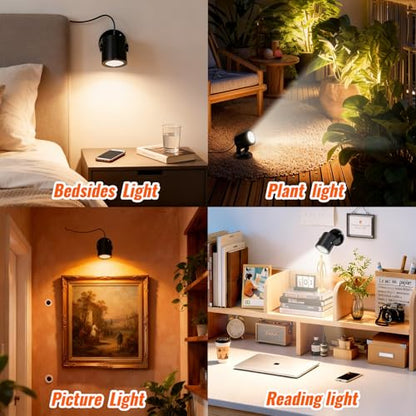TAYSING LED Spotlight Indoor 5W USB Powered 360 Degree Rotating Mini Display Accent Light for Pictures Paintings Plants Shelves Cabinet Showcase, 2 Pack Neutral White 4000K - color: Neutral White