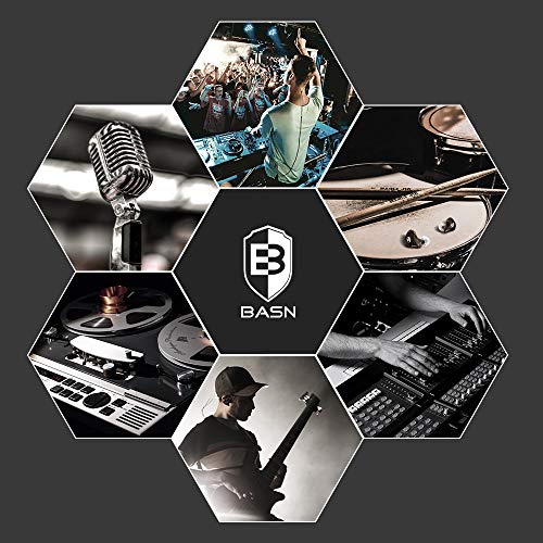 BASN Bsinger Pro in Ear Monitor,Dual Drivers IEM Earphones for Musicians - color: Brown