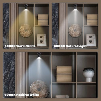 5V 조도 조절 가능한 LED 미니 스포트라이트, 2m(6.5피트) 케이블, 주얼리/실내 그림/예술/모델 디스플레이 조명, 주얼리 캐비닛, 입구, 테이블 선반용 USB 전원 스포트라이트(포지티브 화이트 6000K, 4팩) - color: 포지티브 화이트 6000K, size: 4팩