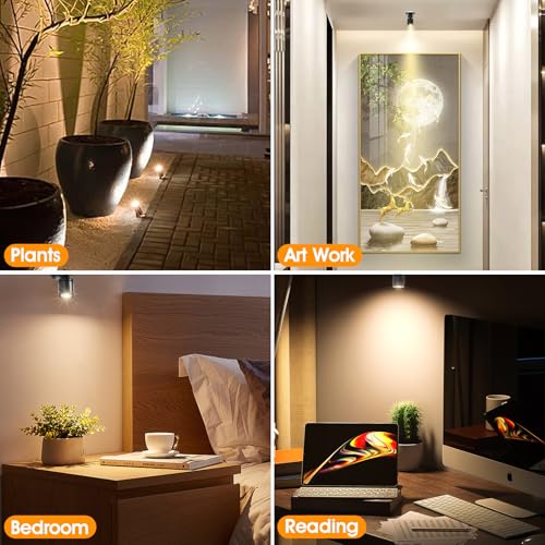 12pcs Warm White Mini LED Spot Lights, 3000K Under Cabinet Lights, Mini Spotlights Display Light for Painting Picture Plants Jewelry Showcase Model Display Shelves ,Pushbutton Switches,U.S. Plugs - color: Warm White