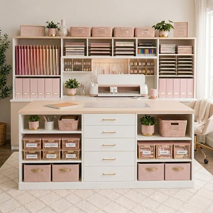 BLU MONACO | Cardboard Magazine File Holder Set of 6 Pink | Vertical Magazine File Holder with Gold Label Slots | Standing File Holder and Cardboard Bins for Shelves Desk Storage - color: Pink