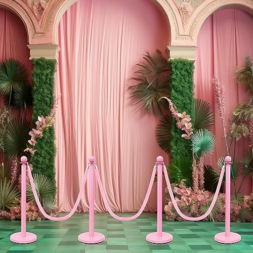 Ferraycle 4 Pcs Stainless Steel Stanchions 38 Inch with Velvet Rope, Pink | Pink Stanchions Set, 5 ft Velvet Rope Included, Ball Top Posts, Weighted Base, Crowd Control Barriers, Wedding Party