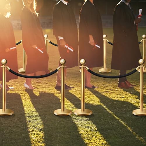 6 Pieces Velvet Stanchion Rope Bulk 4 Feet Party Crowd Control Barrier Safety Velvet Rope with Gold Hook for Movie Theater Opening, Hotel, Carpet, Not Include Stanchion Post(Black) - color: Black