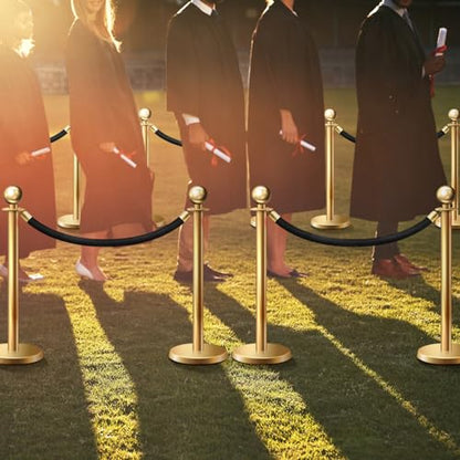 6 Pieces Velvet Stanchion Rope Bulk 4 Feet Party Crowd Control Barrier Safety Velvet Rope with Gold Hook for Movie Theater Opening, Hotel, Carpet, Not Include Stanchion Post(Black) - color: Black