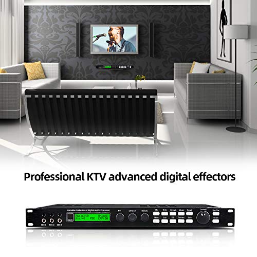 Depusheng X5 Karaoke Professional Digital Audio Processor Can Set via a PC Interface Prevent Howling