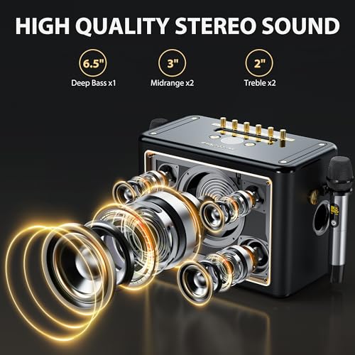 JYX Karaoke Machine with 2 Wireless Microphones, Portable Bluetooth Singing PA System Bass/Treble Adjustment, Supports TV Connetion/Bluetooth/USB/TF/AUX for Home Party - color: Gold