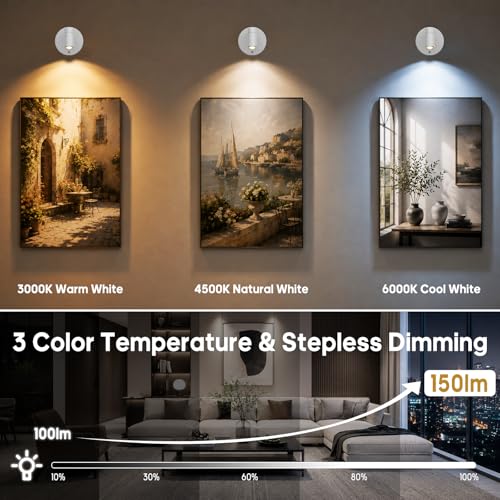 Spotlights Indoor with Remote, 5500Mah Rechargeable Picture Lights on Wall - color: White-5500mAh
