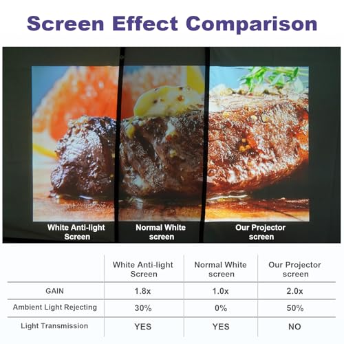 60-Inch Anti-Light Projector Screen, 4K HD 4:3 Portable Outdoor Movie Screen, Black Backing Foldable Indoor Projection Screen with High Gain & 160° Viewing Angle for Home Theater, Camping, RV