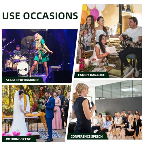 Depusheng R7 Wireless Microphone Set with Two Wireless Dynamic Handheld Microphones Receiving Range of 80 Meters Suitable for Karaoke Concert Stage