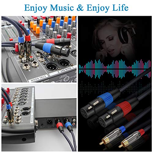 Jolgoo XLR to RCA Cable - Dual Female to Dual Male, 3.3 Feet, HiFi Audio, OFC Wire, for Amplifier, Mixer, Microphone - size: 3.3 Feet, style: Dual XLR Female to Dual RCA Male