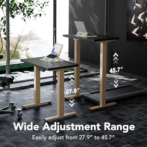 HUANUO 32" Small Electric Standing Desk Adjustable Height, 4 Memory Height Settings, Sit Stand Up Desk for Home Office & Computer Workstation, Black and Gold Frame | 176 Lbs Capacity, Rounded Corners, Wheel-Ready Feet, Compact Desktop, Apartment Workspace