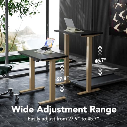 HUANUO 32" Small Electric Standing Desk Adjustable Height, 4 Memory Height Settings, Sit Stand Up Desk for Home Office & Computer Workstation, Black and Gold Frame | 176 Lbs Capacity, Rounded Corners, Wheel-Ready Feet, Compact Desktop, Apartment Workspace