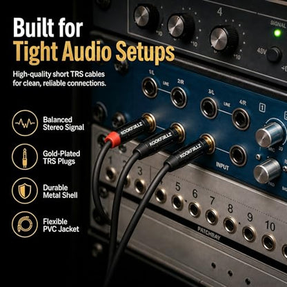 1/4 Inch TRS Balanced Cable 1 Foot (2-Pack) Male to Male - 20AWG OFC Professional Audio Patch Cable with 24K Gold-Plated Connectors for Studio Monitor, Audio Interface, DJ Mixer, Amplifier