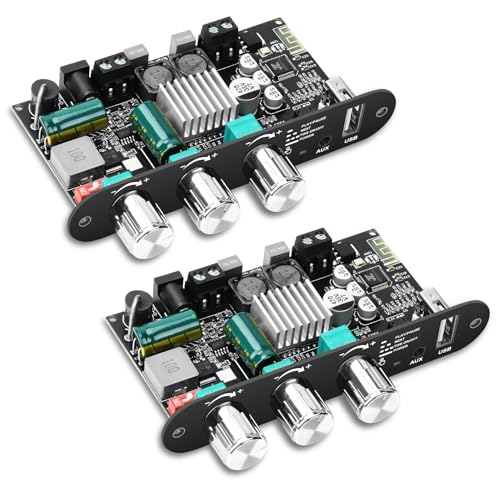 Daakro 2PCS ZK-1001U Mono Bluetooth Amplifier Board w/TWS, 100W Peak Power Home Audio Amplifier Board,Wide Voltage Input 9-24V,Supports USB/AUX/Bluetooth Input for DIY Wireless Speaker - color: 2PCS ZK-1001U