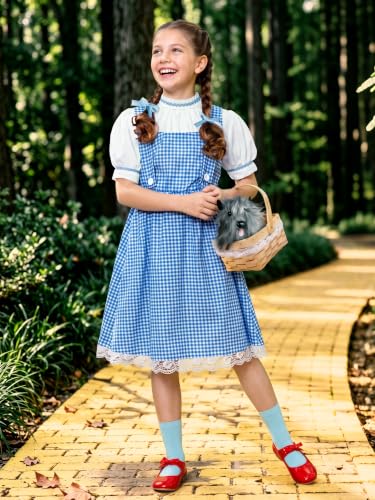 Girls Halloween Blue Gingham Costume | Multi-Piece Set, Book Character Style, Adjustable Front Straps, Puff-Sleeve Dress - color: Blue White (5 Pcs), size: 6 Years
