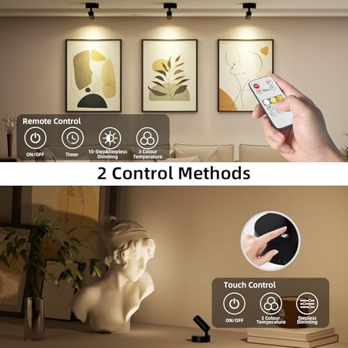 Spotlights Indoor with Remote & Touch, 5500mAh Rechargeable Battery Picture Lights with Timer, 10 Levels Brightness Dimmable Uplights Indoor for Tree Painting Cabinet Wall Gallery (4 Pack) - color: 4 x Black