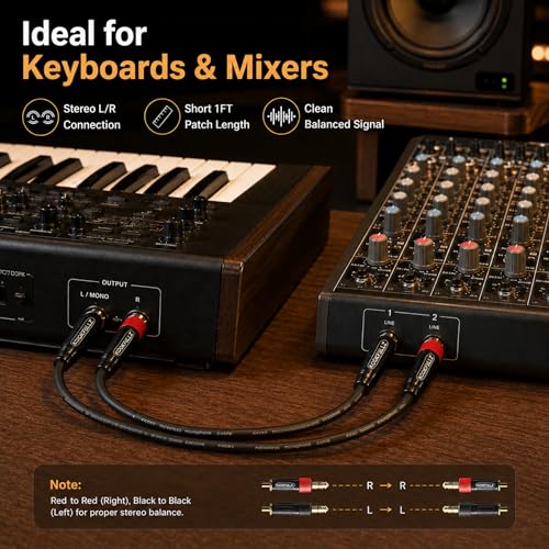 1/4 Inch TRS Balanced Cable 1 Foot (2-Pack) Male to Male - 20AWG OFC Professional Audio Patch Cable with 24K Gold-Plated Connectors for Studio Monitor, Audio Interface, DJ Mixer, Amplifier