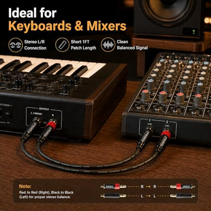1/4 Inch TRS Balanced Cable 1 Foot (2-Pack) Male to Male - 20AWG OFC Professional Audio Patch Cable with 24K Gold-Plated Connectors for Studio Monitor, Audio Interface, DJ Mixer, Amplifier