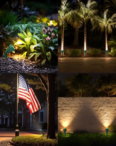 DEWENWILS 120V Spotlight Outdoor,500LM Landscape Lighting,3 Extra Lenses - color: Green