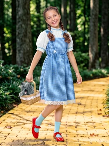 Girls Halloween Blue Gingham Costume | Multi-Piece Set, Book Character Style, Adjustable Front Straps, Puff-Sleeve Dress - color: Blue White (5 Pcs), size: 6 Years