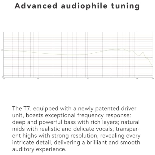 TINHIFI T7 Flagship in-Ear Monitor, Hi-Fi Earphones with 10mm Gold-Plated Dynamic Driver, Detachable MMCX Cable, Noise Isolating IEM, Premium Sound Quality for Audiophiles, Musicians - Black