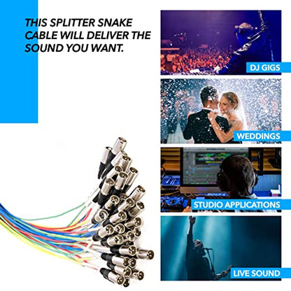 Seismic Audio - SARMSS-32x1515 - 32 Channel XLR TRS Combo Splitter Snake Cable - two 15' XLR trunks - size: 15 Foot x 15 Foot - 32 Channel