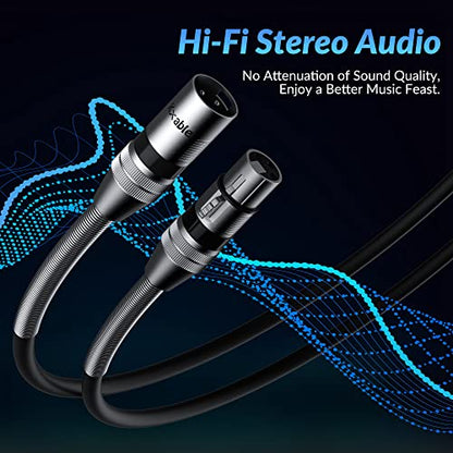 XLR Microphone Cables (10FT, 2-Pack), XLR Male to Female Balanced Mic Cable, 3-Pin Shielded Speaker Cord, Zinc Alloy Connectors, Premium 22AWG Pure Copper, Metal Spring SR, Recording Studio, Podcast - size: 10FT, style: 2-Pack