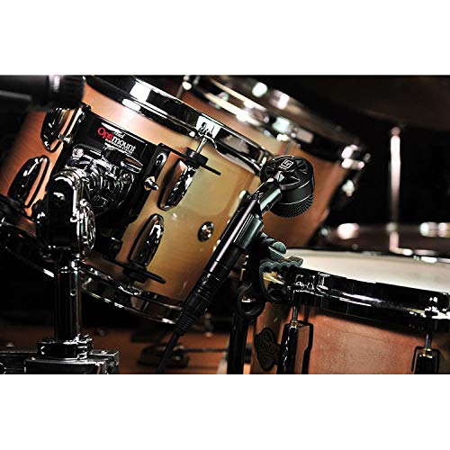 Electro-Voice ND44 Dynamic Tight Cardioid Instrument Microphone (4-Pack) Bundle