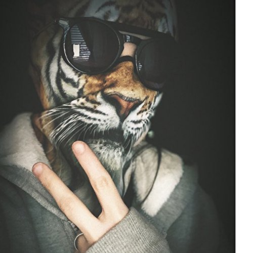 WTACTFUL 3D Animal Ears Balaclava, Breathable Face Mask for Halloween | Stand-Up Ears, Windproof Dustproof, Quick-Dry, No Fade Print, Soft, for Music Festivals Raves Ski Snowboard Moto Party - color: Tiger Meb-14