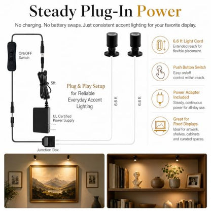 Taysing LED Spot Light Indoor Little Mini Spotlight Accent Lights for Display, Paintings, Pictures, Plants, Jewelry, Shelves, Cabinets, Posters, Showcase(Cold White-2 Pack Push Switch) - color: Cold White-2 Pack Push Switch