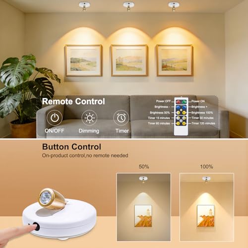 HONWELL LED Spotlight Wireless Accent Lights 2 Pack Battery Powered Warm White Puck Lights with Remote,Under-Cabinet Light Indoor Closet Light with Rotatable Head,Picture Light for Paintings