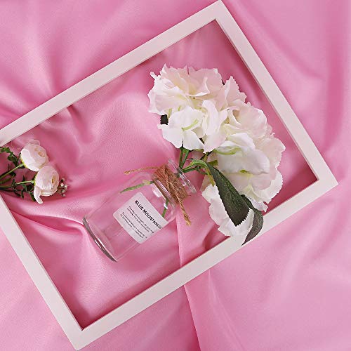 GFCC Pink Backdrop Photography Background - 6FT x 10FT Photo Backdrop for Photoshoot Photography Video Recording Background Screen Picture Curtain | Versatile Screen for Studio, Video Recording, Portrait, Parties, Non-Reflective, Polyester, Easy Hang, Hig