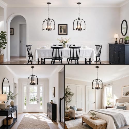 Phaosio 4-Light Black Chandelier, Farmhouse Lantern Chandelier | Industrial Metal Cage Light Fixture, Rustic Geometric Design, Adjustable Height, E12 Base, Kitchen Island, Entryway, Foyer - color: Black (Arch Cage)