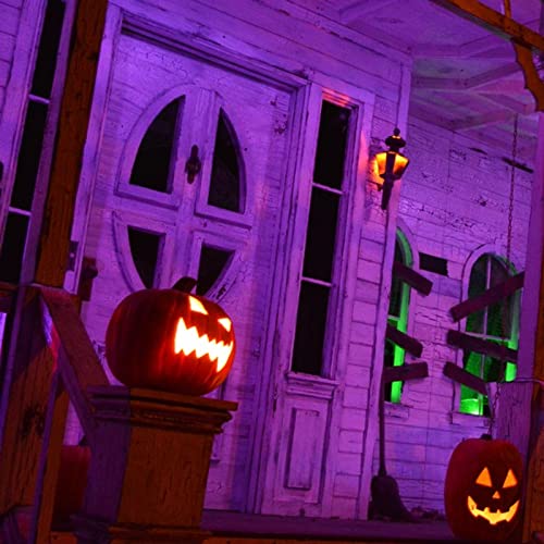 66ft/20M LED Black Light Strip Kit, 1200 Units Lamp Beads, 385nm-400nm, 12V Flexible Blacklight Fixtures, 20M LED Ribbon, Non-Waterproof for Indoor, Birthday, Dark Party, Halloween, Christmas