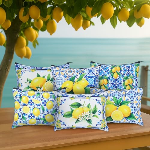 Reginary 12 Pcs Italian Gifts Lemon Makeup Bags Amalfi Coast Cosmetics Bags | Italy Travel Souvenir, Lemon Travel Pouches for Women Girls, Bachelorette Friend Birthday Gifts - style: Amalfi Coast Lemon