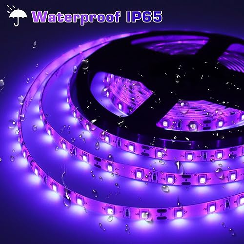 LightingWill LED UV Black Light Strip Kit, Ultraviolet Waterproof IP65 32.8FT/10M 3528 600LEDs, 395nm-405nm Blacklight for DJ Bar Club Party Decor Night Fishing with 12V Power Supply - size: 12V 60W Waterproof - 33 ft