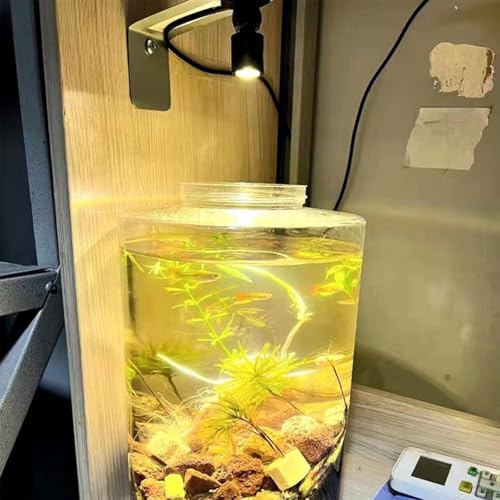 5V 조도 조절 가능한 LED 미니 스포트라이트, 2m(6.5피트) 케이블, 주얼리/실내 그림/예술/모델 디스플레이 조명, 주얼리 캐비닛, 입구, 테이블 선반용 USB 전원 스포트라이트(웜 화이트 3000K, 2팩) - color: 웜 화이트 3000K, size: 2개