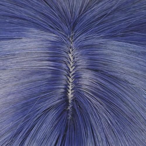 Clorinde Wig for Women Dark Purple Low Ponytail Straight Heat Resistan Synthetic Fiber Hairs for Unisex Adult Halloween Christmas Cos Anime Party Replacement Wigs - color: Dark Blue Low Long Ponytail
