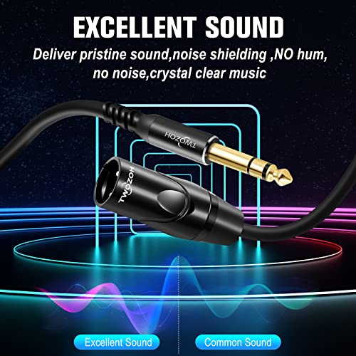 Twozoh XLR Male to 1/4 Inch Jack TRS Cable, Balanced 6.35mm Plug to 3 pin XLR Male, Quarter inch to XLR Stereo Male to Male Guitar Cable 10FT (Profesional/HiFi) - color: Male 1-PACK, size: 10FT