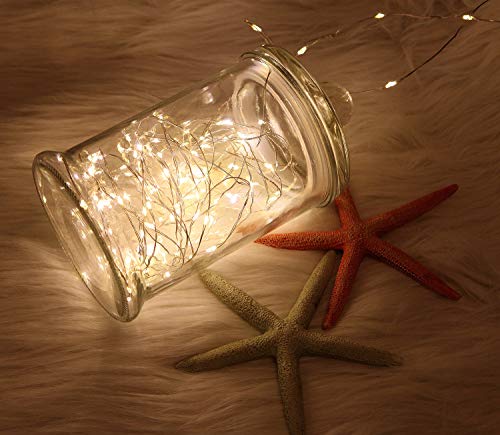 WSgift 2 Pack 20 Feet 60 Warm White Led Battery Operated Fairy Lights with Remote Control Timer Waterproof Silver Copper Wire Twinkle String Lights for Party Bedroom Wedding Christmas Decorations - color: 2 Pack 20 Feet 60 Warm White