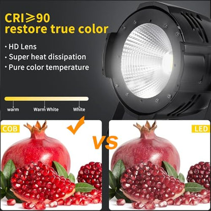Ridgeyard LED Par Lights COB 200W DMX512 & Sound Activated Stage Light Warm White & Cool White Audience Blinder DJ Spot Light Wash Lights for Church Concert Photo Studio Wedding Live Show (4 Packs)