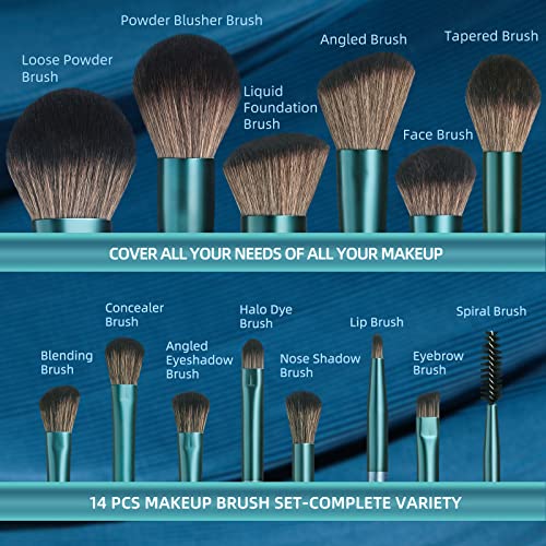 BS-MALL 14 Pcs Makeup Brushes Set with 1 Pcs Makeup Sponge – Essential Foundation Powder Concealers, Eye Shadows, Blush Makeup Brushes with Travel Makeup Case (Z-Blue) - color: Z-Blue