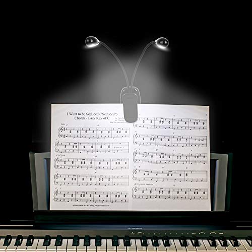 10 Pack Music Stand Lights - Musician Piano Light Clip On, USB & AAA Battery Powered, Eye Care & Portable, LED Book Reading Lamp, 4 Brightness, Ideal for Orchestra, Sheet Music, Guitar (Dual Arm) - size: 10 Pack