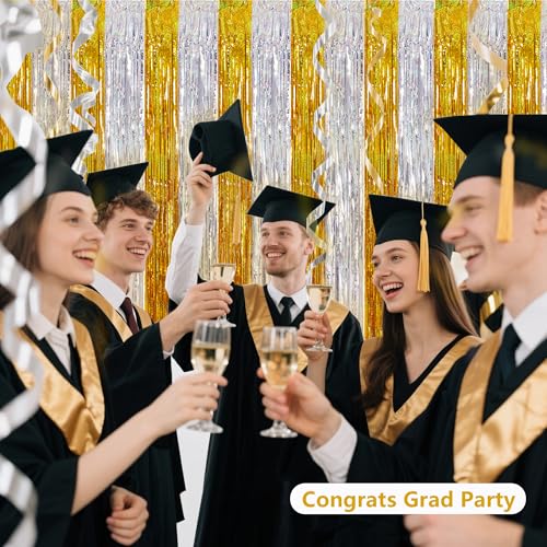 BEISHIDA Gold Silver Door Streamers Backdrop Foil Fringe Tinsel Party Streamers Curtains Photo Backdrop - 2Pcs for Birthday Graduation Bachelorette Party Decoations - color: 05-gold silver