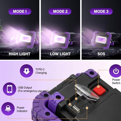 Rechargeable Black Light, Portable UV Blacklight Flood Light for Glow Parties, Body Paint, Night Fishing, Fluorescent Reactive Decorations, Halloween, Outdoor Events, IP65 Waterproof, 2 Pack