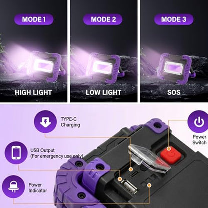 Rechargeable Black Light, Portable UV Blacklight Flood Light for Glow Parties, Body Paint, Night Fishing, Fluorescent Reactive Decorations, Halloween, Outdoor Events, IP65 Waterproof, 2 Pack
