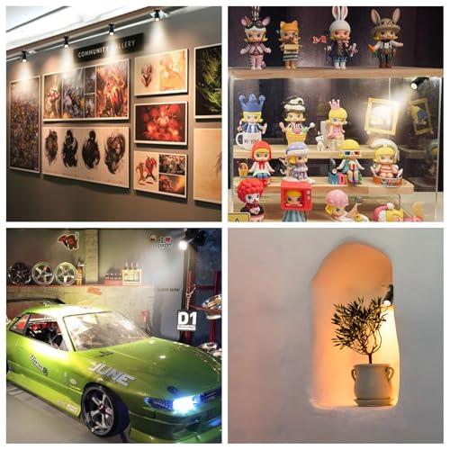 Taysing LED Spot Light Indoor Little Mini Spotlight Accent Lights for Display, Paintings, Pictures, Plants, Jewelry, Shelves, Cabinets, Posters, Showcase(Cold White-2 Pack Push Switch) - color: Cold White-2 Pack Push Switch
