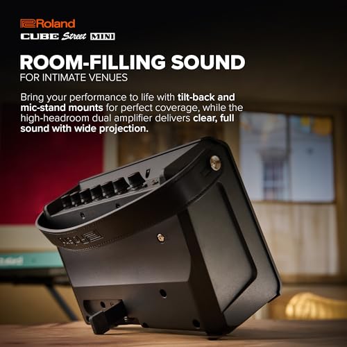 Roland Cube Street Mini | Ultra-Compact Amplifier | Exceptional Sound | Ideal for Small Events | Supports Mics, Instruments & More | Up to 7 Hours Battery Life | Built-in Effects | Bluetooth Audio | Small Events, Supports Mics, Instruments and More, Up to