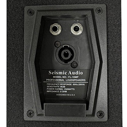 Seismic Audio - FL-10MP - Pro Audio PA/DJ 10" Monitor - 100% Birch Plywood - 250 Watts RMS each