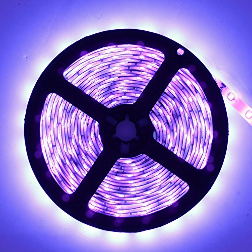Super Bright 24 Watts UV Black Light LED Strip, 16.4FT/5M 3528 300LEDs 395nm-405nm Waterproof IP65 Blacklight Night Fishing implicitly Party with Power Supply - color: Waterproof, size: 24Watts